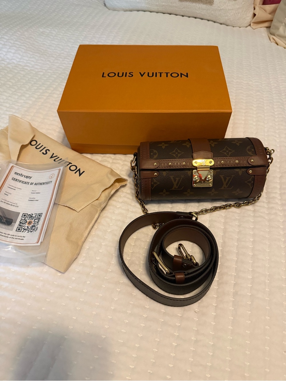 Louis Vuitton Monogram Papillon Trunk Crossbody